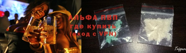 стаф Верхний Тагил