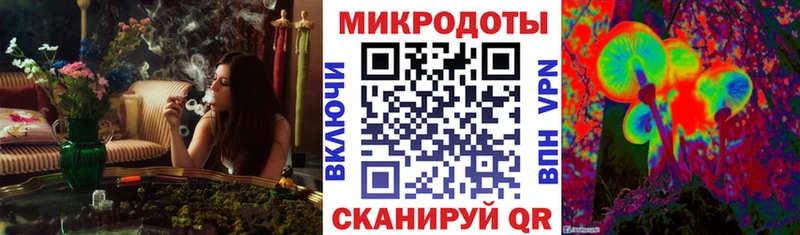 Галлюциногенные грибы Psilocybe  Рузаевка 