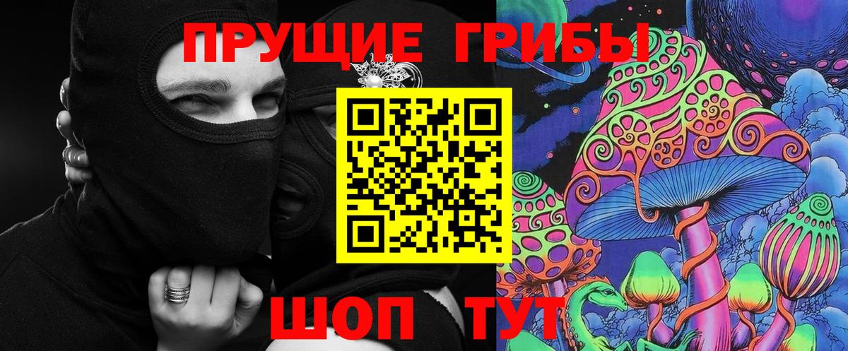 Псилоцибиновые грибы Psilocybe  где купить   Рузаевка  Вход с VPN 